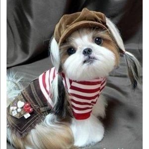 Meet your Posher, Gabby