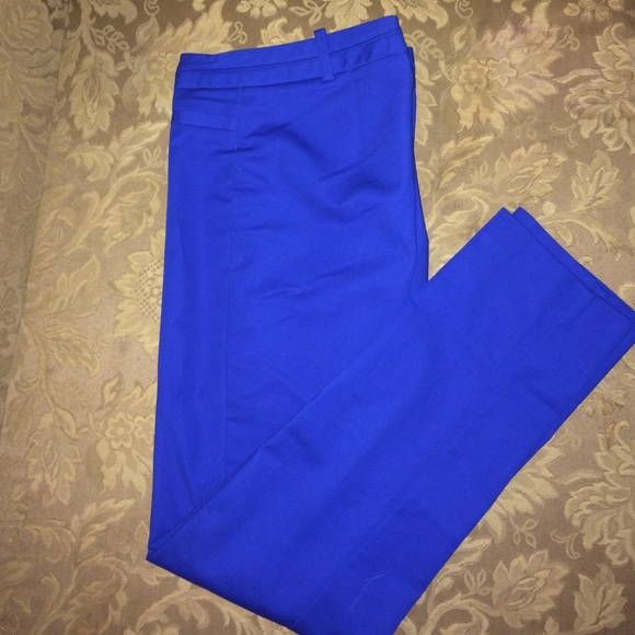 Royal blue straight leg suit pants