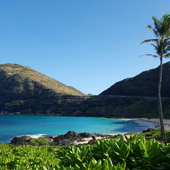 Meet your Posher, Carli - Picture 2 of 2