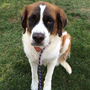 Meet your Posher, Jodi