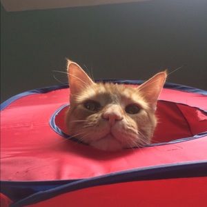 Meet your Posher, Selena