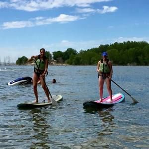 Meet your Posher, Molly