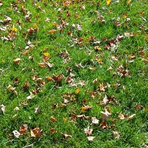 Meet your Posher, Bree