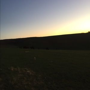 Meet your Posher, Everly