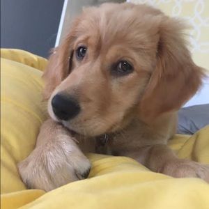 Meet your Posher, Courtney