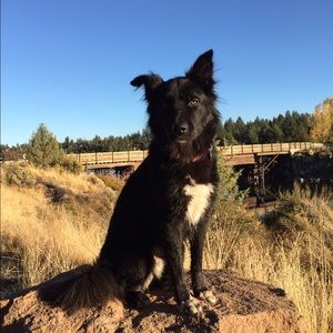 Meet your Posher, Erica