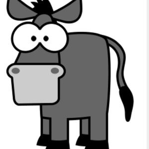 Meet your Posher, Catlyhn