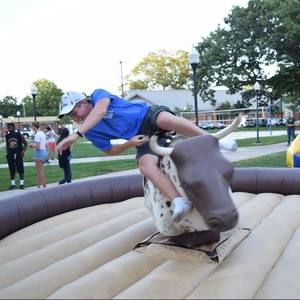 Meet your Posher, Dan