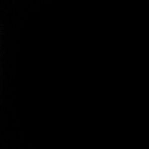 Meet your Posher, Jazmin