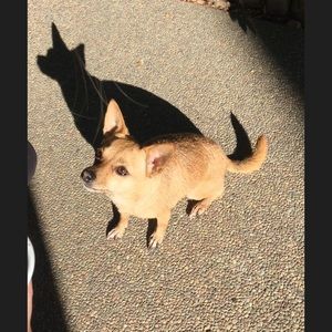 Meet your Posher, Kris