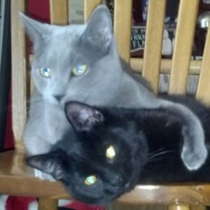 Meet your Posher, Ruth