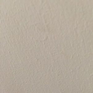 Meet your Posher, Jiaxu