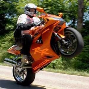 Meet your Posher, Steve