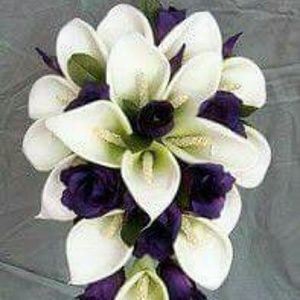 Meet your Posher, Norma