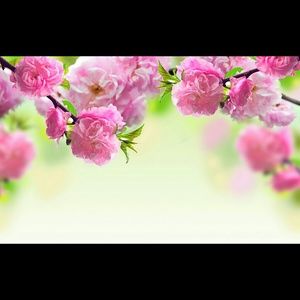 Meet your Posher, Maroa