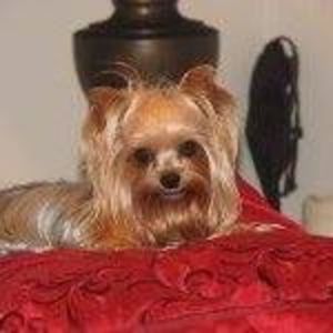 Meet your Posher, Sheila