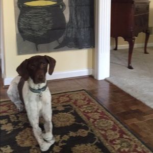 Meet your Posher, Christine