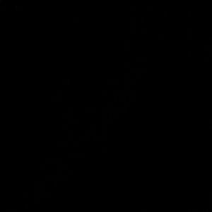 Meet your Posher, Franshaun