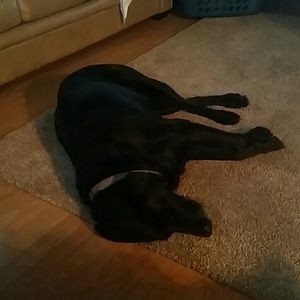 Meet your Posher, Beth