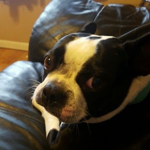 Meet your Posher, Candice