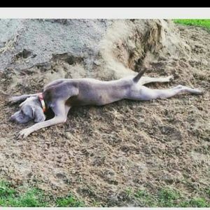 Meet your Posher, Catherine