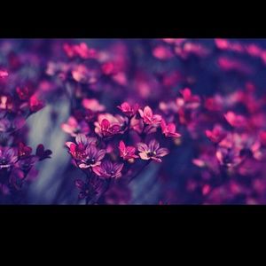 Meet your Posher, Lupe