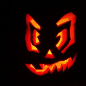 Meet your Posher, Liz