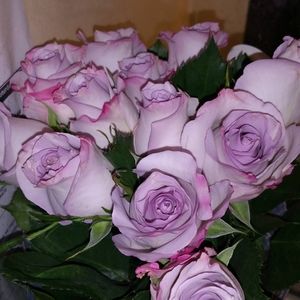 Meet your Posher, Chatisha