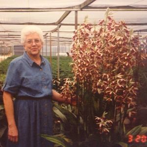 Meet your Posher, Donna