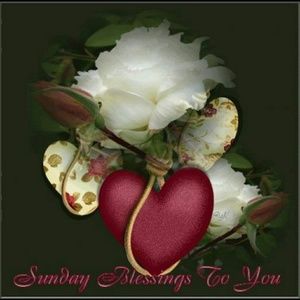 Meet your Posher, Dekegai