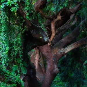 Meet your Posher, Alaina