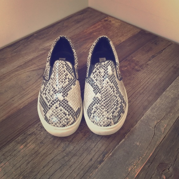 Steve Madden Snake Print skater sneakers