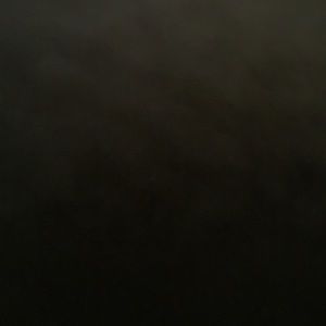 Meet your Posher, Sidney