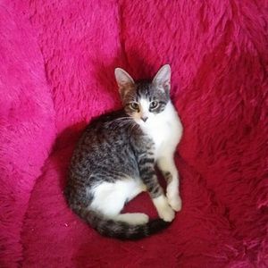 Meet your Posher, Katy