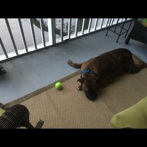 Meet your Posher, Rae