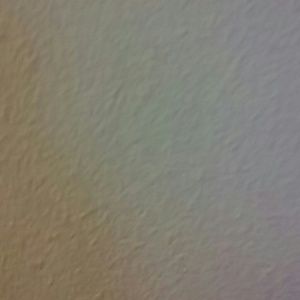 Meet your Posher, Bradley