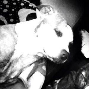 Meet your Posher, April