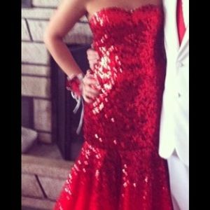 Gorgeous Karishma Prom Dress