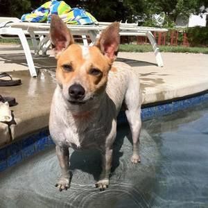 Meet your Posher, Wendy