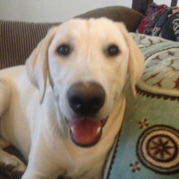 Meet your Posher, Jamie