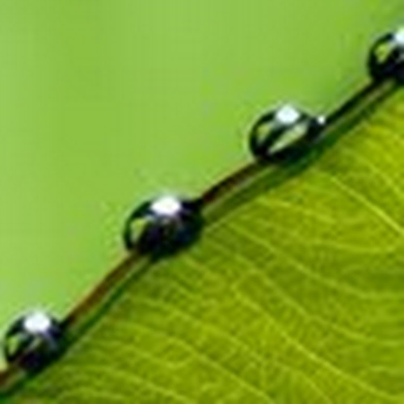 Meet your Posher, Alexia - Picture 1 of 1