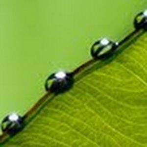 Meet your Posher, Alexia