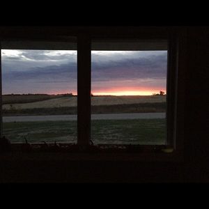 Meet your Posher, Sandy