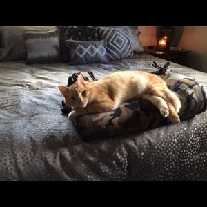 Meet your Posher, Amanda