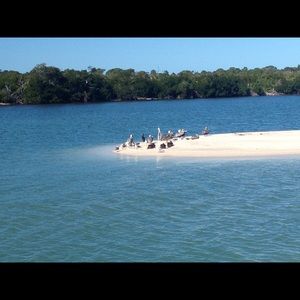 Meet your Posher, Paulette