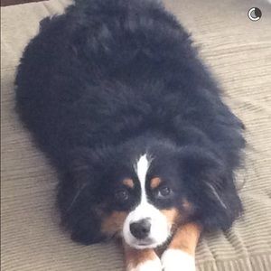 Meet your Posher, Kailey