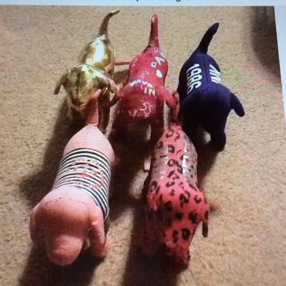 lot of 5 vs dogs!