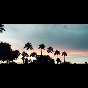 Meet your Posher, Elsa