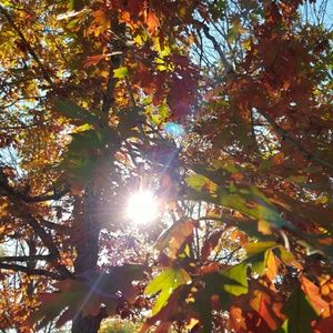 Meet your Posher, Dannette