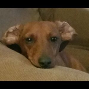 Meet your Posher, Lynn